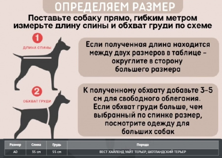 Куртка-попона для Вестов и собак похожей комплекции