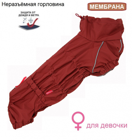 Дождевик для собак девочек Такса