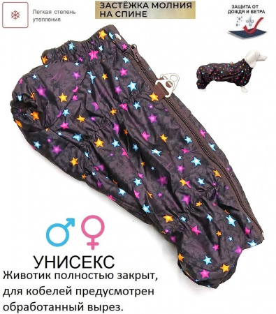 Комбинезон для ТАКСЫ утепленный, подкладка флис