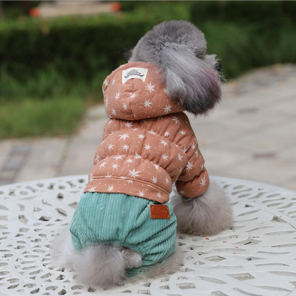 Костюм для собак "ChicDog"