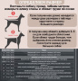 Комбинезон для собак ForMyDogs "Бабочки". Девочка