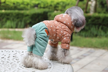 Костюм для собак "ChicDog"