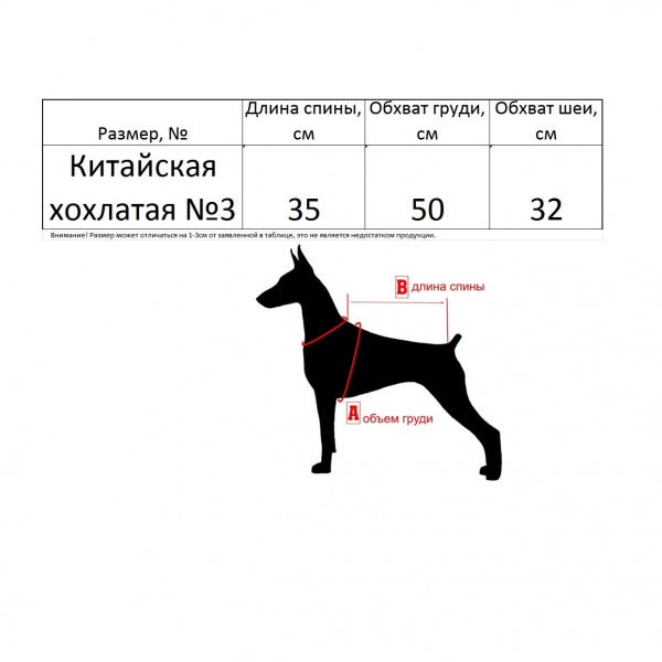 Одежда для Китайской хохлатой. Комбинезон утепленный по спинке 35см