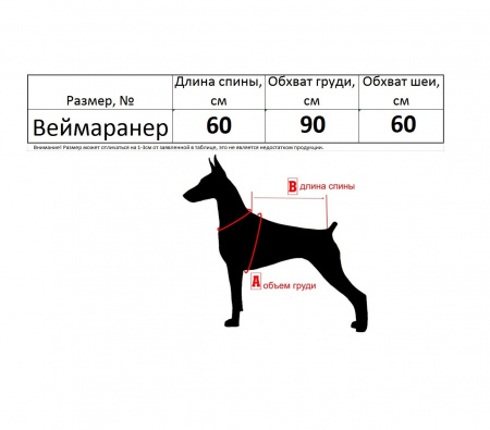Одежда для Веймаранера №1. Комбинезон-Дождевик по спинке 60см