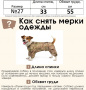 "Джек Рассел терьер" дождевик утепленный для собак 33см.