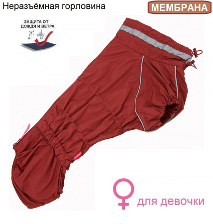 Дождевик-комбинезон для собак девочек породы "вельш-корги"