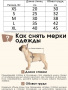 Рубашка для собак "Гавайи" зелёная