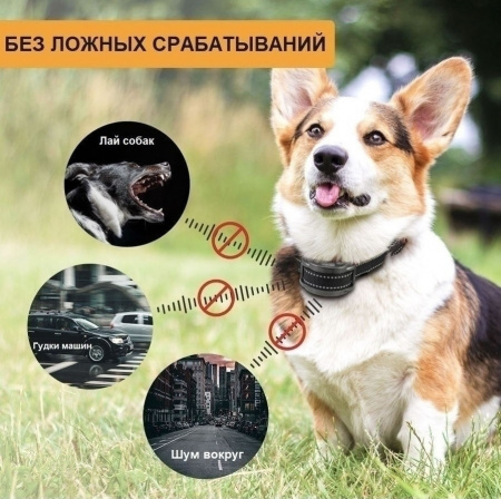 Ошейник-антилай для собак с дисплеем PaiPaitek PD259 Ultra
