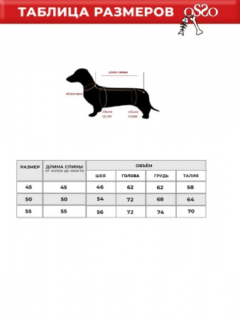 Комбинезон пыльник для корги от клещей с капором мальчик