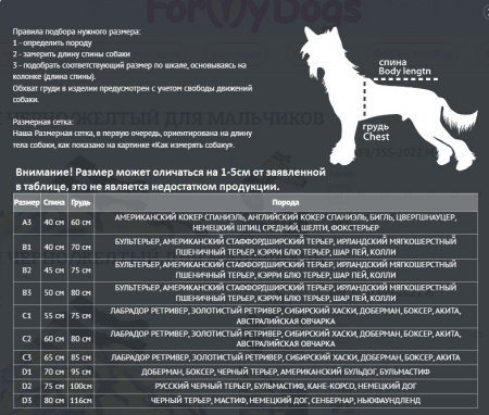 Комбинезон-дождевик для собак. Мальчик. ForMyDogs