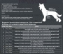 Комбинезон-дождевик для собак. Мальчик. ForMyDogs